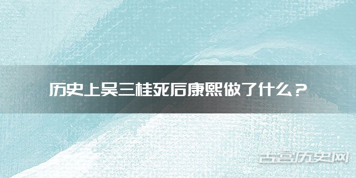 历史上吴三桂死后康熙做了什么？