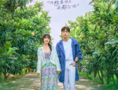 《两个人的小森林》追剧日历