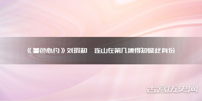 《暮色心约》刘瑕和祁连山在第几集得知彼此身份