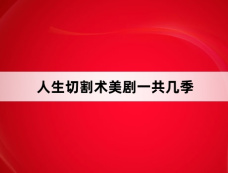 人生切割术美剧一共几季