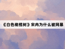 《白色橄榄树》宋冉为什么被网暴