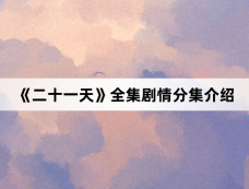 《二十一天》全集剧情分集介绍