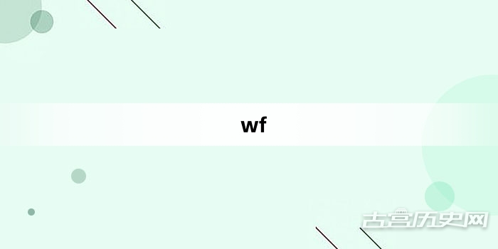 “wf”网络梗词解释