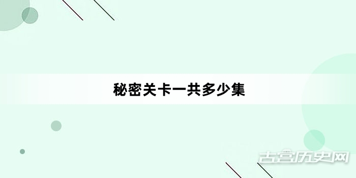 秘密关卡一共多少集
