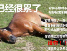 马已经很累了梗介绍
