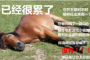 马已经很累了梗介绍