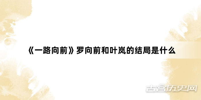 《一路向前》罗向前和叶岚的结局是什么