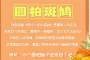 圆柏斑鸠是什么梗