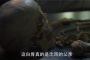《谁是凶手》沈海洋怎么死了