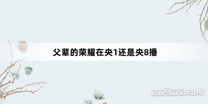 父辈的荣耀在央1还是央8播