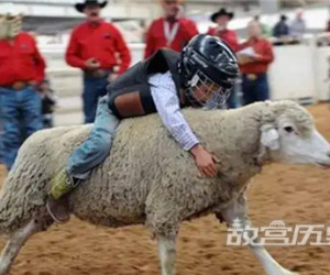 澳大利亚被称为骑在羊背上的国家的原因