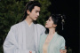 《宁安如梦》剧情简介