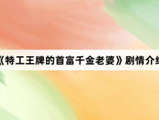 《特工王牌的首富千金老婆》剧情介绍