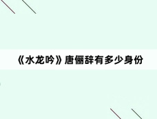 《水龙吟》唐俪辞有多少身份