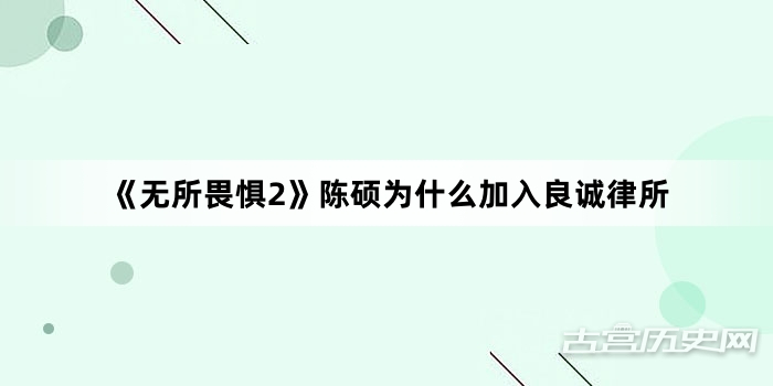 《无所畏惧2》陈硕为什么加入良诚律所
