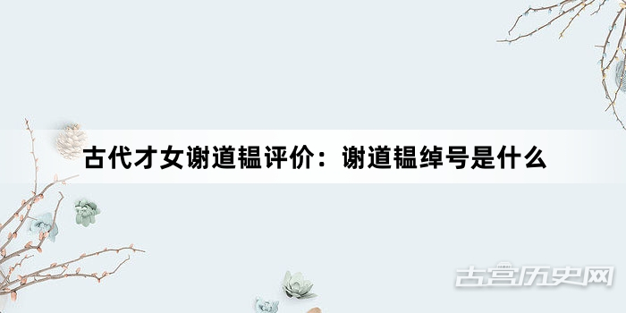 古代才女谢道韫评价：谢道韫绰号是什么