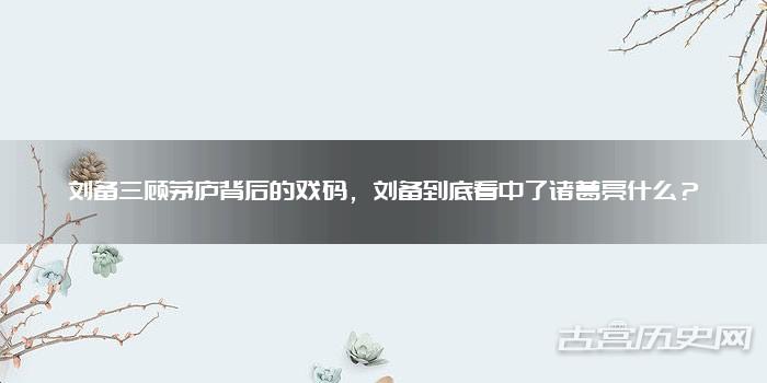 刘备三顾茅庐背后的戏码，刘备到底看中了诸葛亮什么？