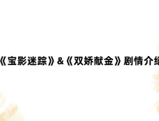 《宝影迷踪》&《双娇献金》剧情介绍
