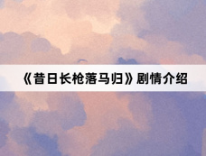 《昔日长枪落马归》剧情介绍