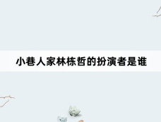 小巷人家林栋哲的扮演者是谁