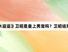 《流水迢迢》卫昭是皇上男宠吗？卫昭结局如何