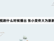 好运家电视剧什么时候播出 张小斐佟大为新剧登陆卫视首播