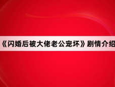 《闪婚后被大佬老公宠坏》剧情介绍