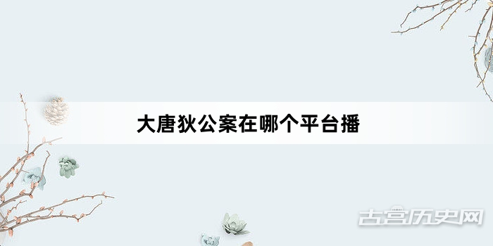 大唐狄公案在哪个平台播