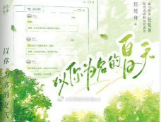 《以你为名的夏天》小说介绍