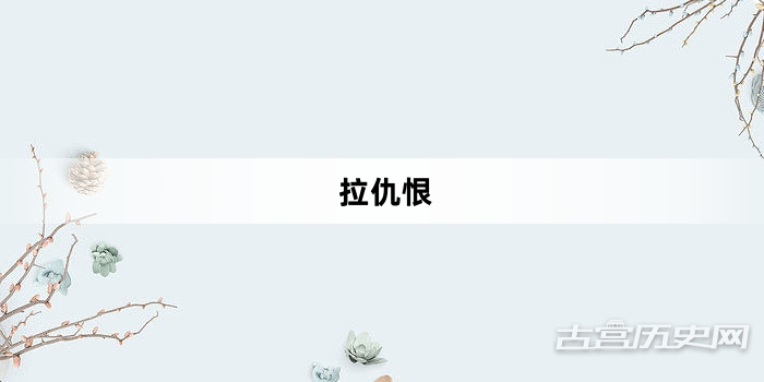“拉仇恨”网络梗词解释