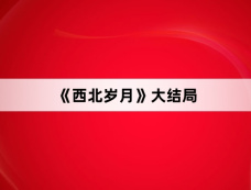 《西北岁月》大结局