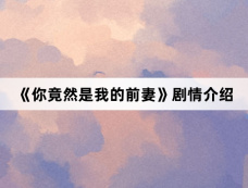 《你竟然是我的前妻》剧情介绍