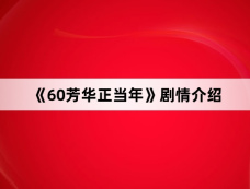 《60芳华正当年》剧情介绍