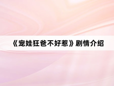 《宠娃狂爸不好惹》剧情介绍