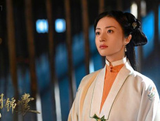 《电视剧锦囊妙录》第17集分集剧情介绍