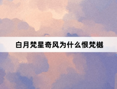 白月梵星奇风为什么恨梵樾