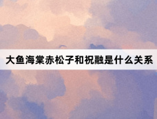 大鱼海棠赤松子和祝融是什么关系
