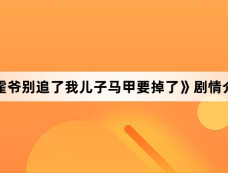 《霍爷别追了我儿子马甲要掉了》剧情介绍