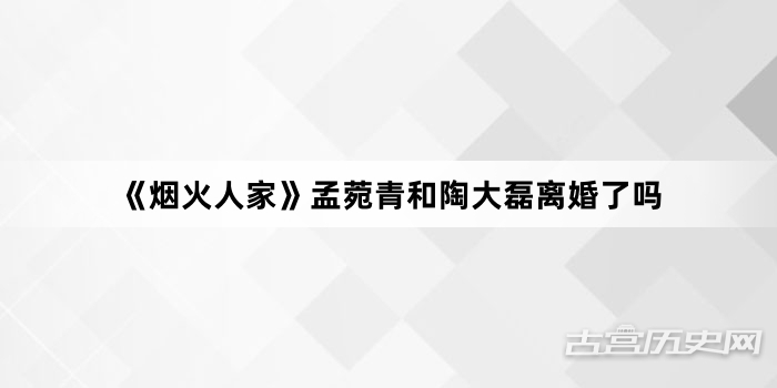 《烟火人家》孟菀青和陶大磊离婚了吗