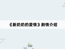 《新奶奶的爱情》剧情介绍