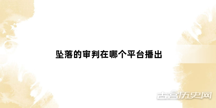 坠落的审判在哪个平台播出