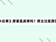 《边水往事》原著是真事吗？男主沈星原型是谁