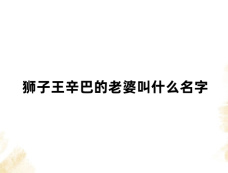 狮子王辛巴的老婆叫什么名字