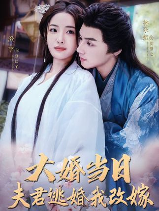 《大婚当日，夫君逃婚我改嫁》剧情介绍