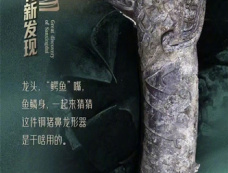 三星堆铜猪鼻龙形器介绍