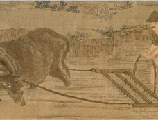 清朝的耕地为什么巨幅扩大