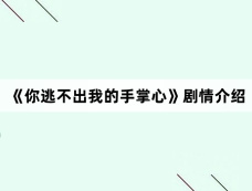 《你逃不出我的手掌心》剧情介绍