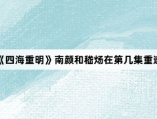 《四海重明》南颜和嵇炀在第几集重逢