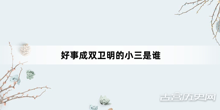 好事成双卫明的小三是谁
