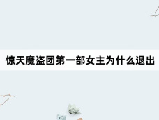 惊天魔盗团第一部女主为什么退出